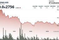 BONK 作为迷因代币领域面临严重抛售，暴跌 12%