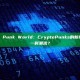 Super Punk World：CryptoPunks的新纪元还是一时潮流？