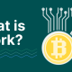 加密货币中的分叉是什么？