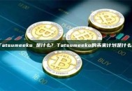 Tatsumeeko 是什么? Tatsumeeko的未来计划是什么?