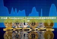 什么是 Tendermint？Tendermint区块链共识引擎介绍