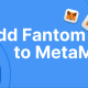如何将 Fantom 网络添加到 MetaMask