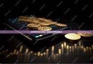 狗狗币持币地址全知道:从查询到分析的终极指南 狗狗币持币地址全知道:从查询到分析的终极指南