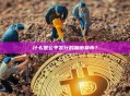 什么是公平发行的加密货币？