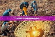 什么是公平发行的加密货币？