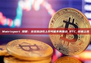 Matrixport 投研：全球流动性上升可能不再推动 BTC 价格上涨