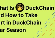 什么是 DuckChain 以及如何提高 DuckChain 空投的资格