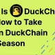 什么是 DuckChain 以及如何提高 DuckChain 空投的资格