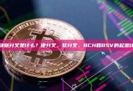 区块链分叉是什么？硬分叉、软分叉、BCH和BSV的起源详解