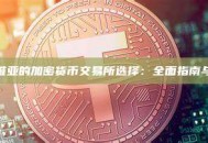探索玻利维亚的加密货币交易所选择：全面指南与实用建议