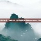 MOVE 是什么币？MOVE 代币如何支持Movement Network？