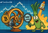 如何用NAV评估你的加密股票值多少钱？