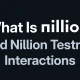 什么是 Nillion 以及如何与 Nillion 测试网交互