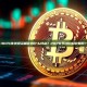 IDO与传统投资相比有什么特点？2026年IDO趋势如何？