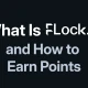 FLock.io 是什么以及如何在 FLock.io 上赚取积分