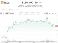 比特币反弹在11万美元下方停滞，短期持有者获利110亿美元