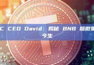 对话 BNC CEO David：揭秘 BNB 版微策略的前世今生