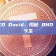 对话 BNC CEO David：揭秘 BNB 版微策略的前世今生