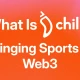 什么是 Chiliz (CHZ)、Chiliz Chain 和 Socios 平台