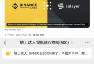 空投反撸潮来袭？从Solayer看项目格局