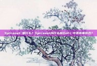 Spicenet 是什么？Spicenet为什么在DeFi 中具有革命性？