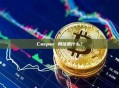 Casper 网络是什么？