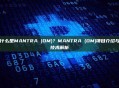 什么是MANTRA (OM)？MANTRA (OM)项目介绍与技术解析