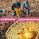 空投是如何运作的？空投运作方式及参与指南