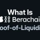 什么是 BeraChain 和流动性证明？