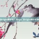 Oxya Origin是什么？Oxya Origin有什么独特之处？