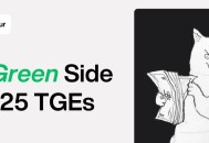 2025年TGE后表现尚可的代币都有什么特征和共性？