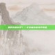 如何跨链转币？一文读懂跨链转币教程