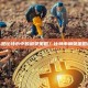 什么是比特币中的扇贝策略？比特币扇贝策略详解
