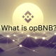 OpBNB RPC 节点 – 如何免费设置 opBNB 节点