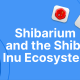 Shibarium：柴犬的第二层区块链生态系统和代币