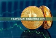 什么是零知识证明？在哪些地方使用过 ZKP？