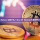 World Network是什么？World Network重塑数字身份未来
