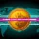 什么是内部 TXNS？内部TXNS定义及技术解析