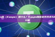 Kas币（Kaspa）是什么？Kaspa加密货币技术与市场分析