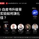从制度实验迈向现实落地，HTX DAO 白皮书重磅升级