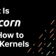 什么是Corn以及如何获得Corn空投资格