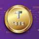 TUSD是什么币?TUSD币和美元有什么关系?