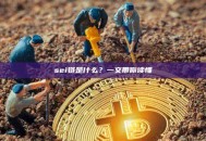sei链是什么？一文带你读懂