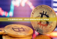 什么是简洁区块链？简洁区块链技术及实现方案解析