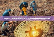 Bybit 质押借币是什么？Bybit质押借币功能详解
