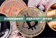 多钱包管理麻烦吗？怎么看总资产？新手指南