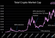 熊市五个半月：一份加密市场体检表