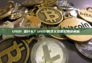 USD1 是什么？USD1的含义及常见用途解析