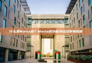 什么是Metis桥？Metis桥功能特点及使用指南
