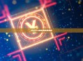 Mantle链使用教程指南